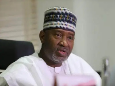 Senator-Hadi-Sirika.jpeg