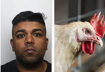 Pervert-Rehan-Baig-rapes-chickens-to-death--e1603141590309.jpg