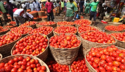 tomato.jpg