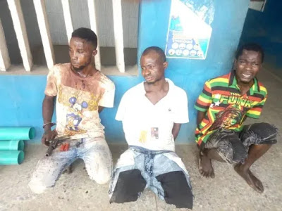 Robbers-e1605782622833.jpg