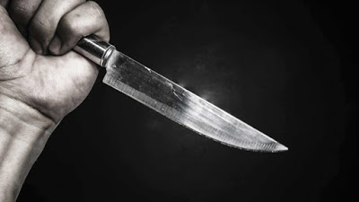 Woman%2Bstabs%2Bex-Rivers%2Bstate%2Bcouncillor%2Bto%2Bdeath.jpg