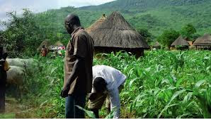 After%2Btragic%2Bmassacre%2Bof%2Bfarmers%252C%2BBorno%2BLG%2Brecruits%2B200%2Bvolunteers%2Bto%2Btackle%2Bbandits.jpg