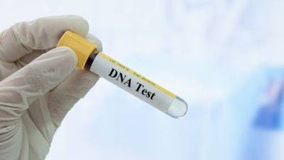 DNA.jpg
