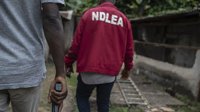 ndlea.jpg