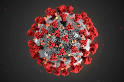 55%2BCOVID-19%2BVariants%2BCirculating%2BIn%2BNigeria%2B%25E2%2580%2593%2BNCDC.jpg