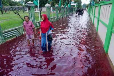 Indonesian%2Bvillage%2Bturns%2Bred%2Bafter%2Bflooding%2Bhits%2Bdye%2Bfactory.jpg