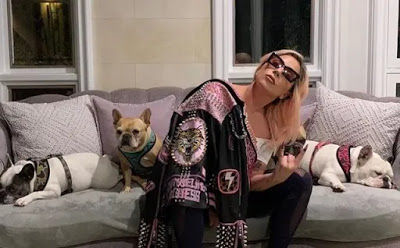 Lady-Gaga-and-her-dogs-.jpg