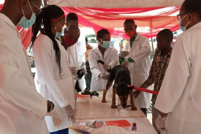 Lagos%2Bto%2Bvaccinate%2B1.5%2Bmillion%2Bdogs.png