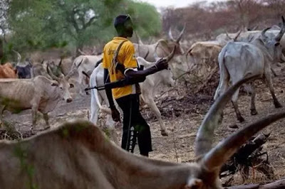 Suspected%2BHerdsmen%2BAttack%2BEdo%2Bresidents%2Btake%2Bcorpse%2Bof%2Bfarmer%2Bto%2BObaseki%25E2%2580%2599s%2Boffice.jpg