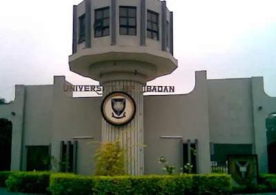 U%252CI%2BNest%2Buniversity.png