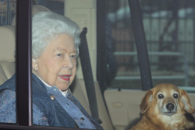 The-Queen-pictured-with-one-of-her-corgis-last-year-640x427