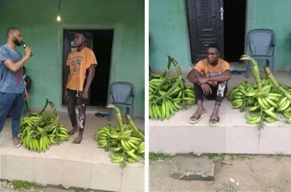 plaintain thief