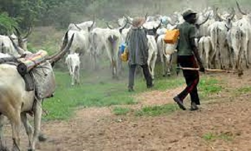 Akwa Ibom Assembly passes anti-open grazing bill AKWA IBOM ASSEMBLY OPEN GRAZING