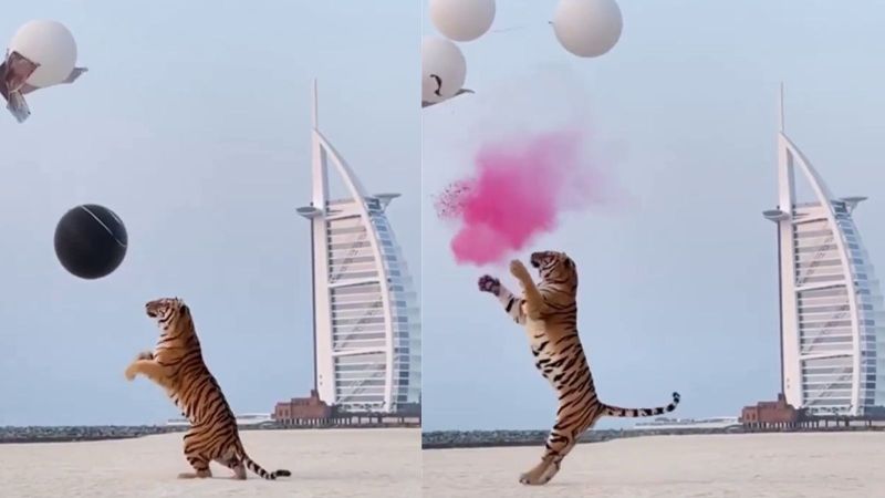 Gender-Reveal-Party