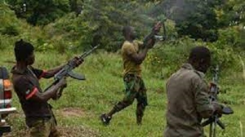 Bandits gun down seven policemen on patrol in Zamfara Bandits gun down seven policemen on patrol in Zamfara