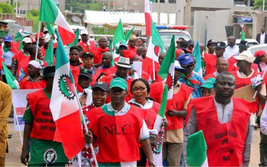 nlc