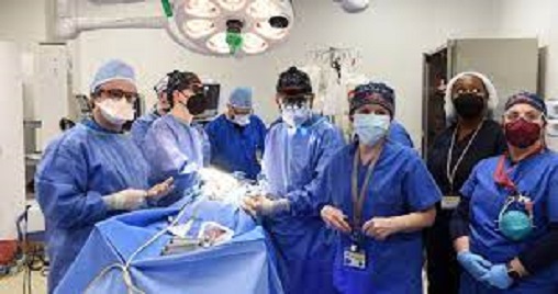 Doctors in US transplant full, live pig heart into human patient Doctors in US transplant full, live pig heart into human patient