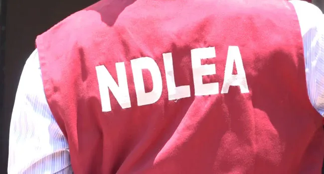 NDLEA Nabs Notorious Female Drug Dealer in Rivers
