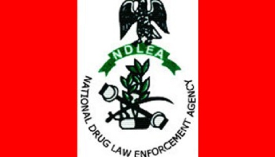 Only PRP Guber Candidate Appeared For Drug Test In Katsina drug test