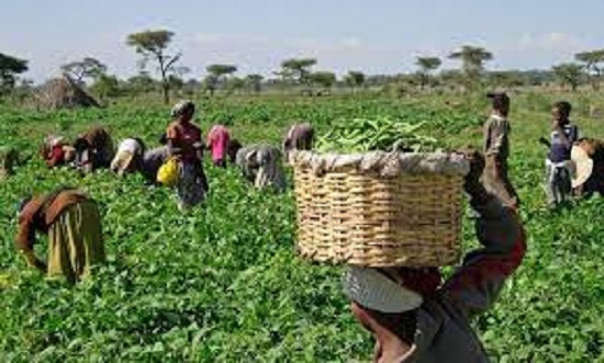 oyo farmer kidnapped oyo farmers