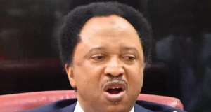 Shehu Sani Mocks APC Over 133 Million Nigerians Being Poor Shehu Sani