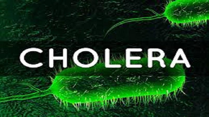 FCT Medical Personnel Placed On Red Alert Over Resurgence Of Ebola, Cholera, Others cholera