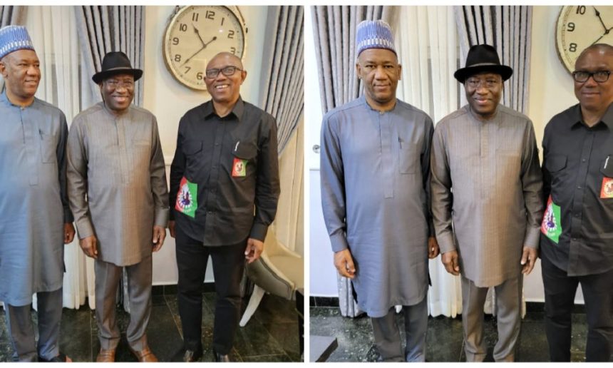 Jonathan Hosts Peter Obi And Datti In Abuja 2 Peter Obi