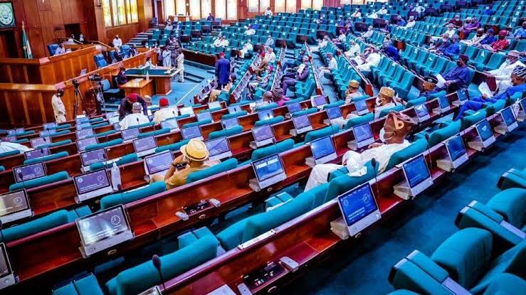 Reps Abandon new born, face 6 months jail term, Reps’ bill proposes