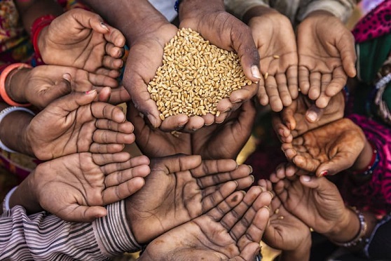 '25 Million Nigerians At High Risk Of Hunger’ Hunger