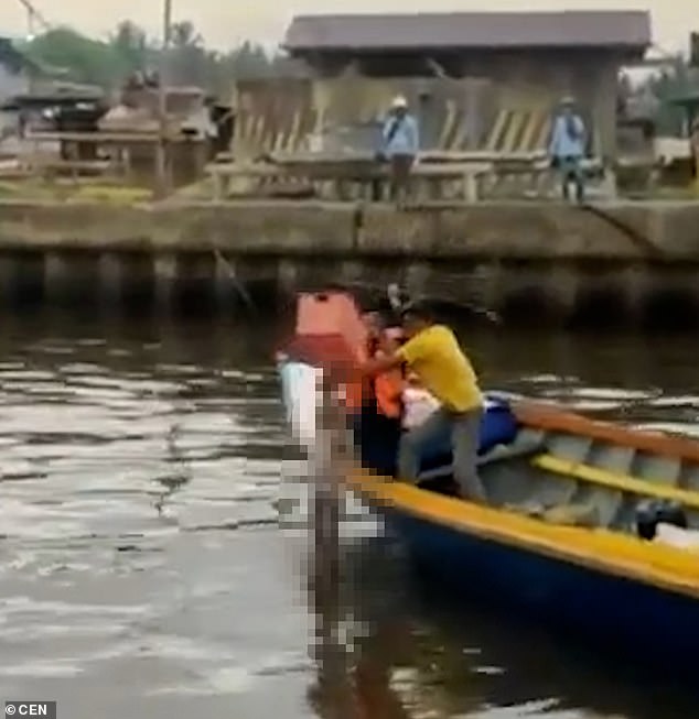 Extraordinary moment a crocodile carries the intact body of a boy, four, to rescuers a mile away from where he drowned in Indonesian river