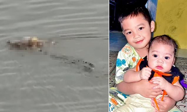 Extraordinary moment a crocodile carries the intact body of a boy, four, to rescuers a mile away from where he drowned in Indonesian river Crocodile
