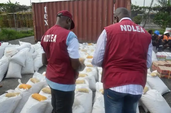 NDLEA Summons LG Boss In Niger NDLEA