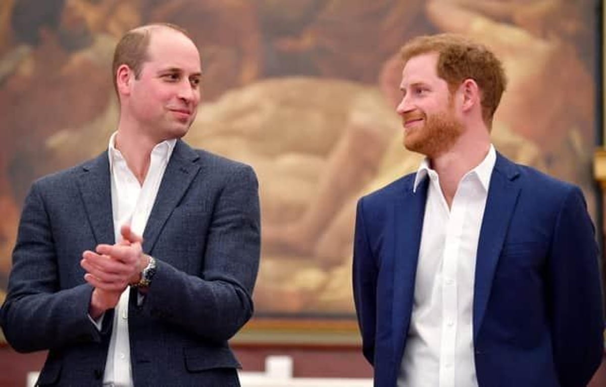 Prince Harry Accuses Brother William Of Physical Attack Prince Harry