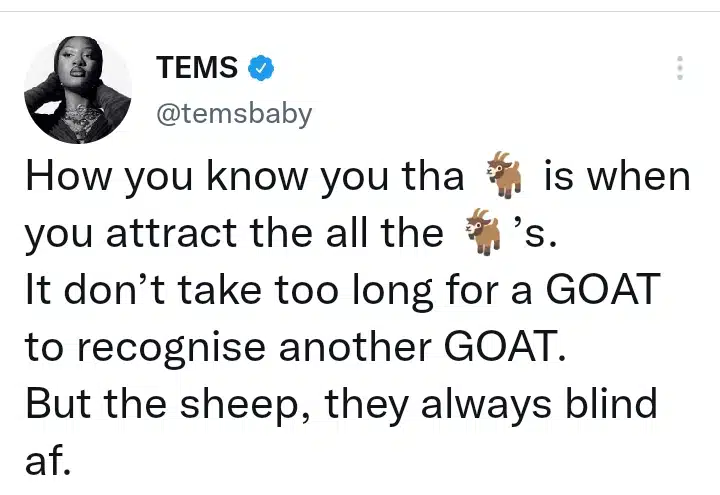 “It Takes A GOAT To Recognize A GOAT” – Tems Brags Following Snoop Dogg’s request for collaboration
