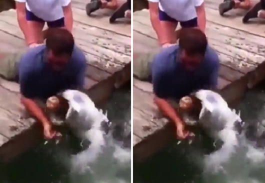 man gets hand eaten by giant fish giant fish