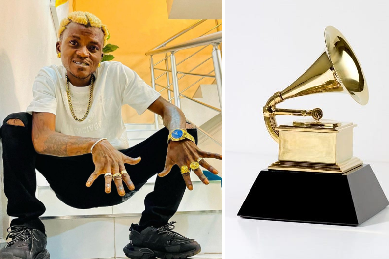 I Want To Win Grammy Award - Singer Portable Portable