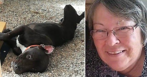 Woman died after being mauled by dog she took in as a stray Woman died after being mauled by dog she took in as a stray