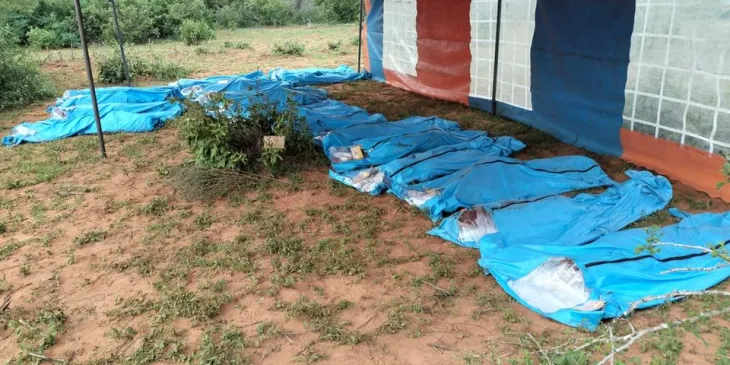 Shakahola: 300 still missing as number of exhumed bodies hit 98 Shakahola