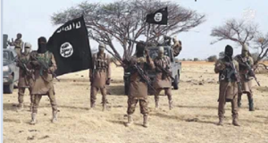 Boko Haram eliminates own top leader over attempt to form faction Boko haram leader
