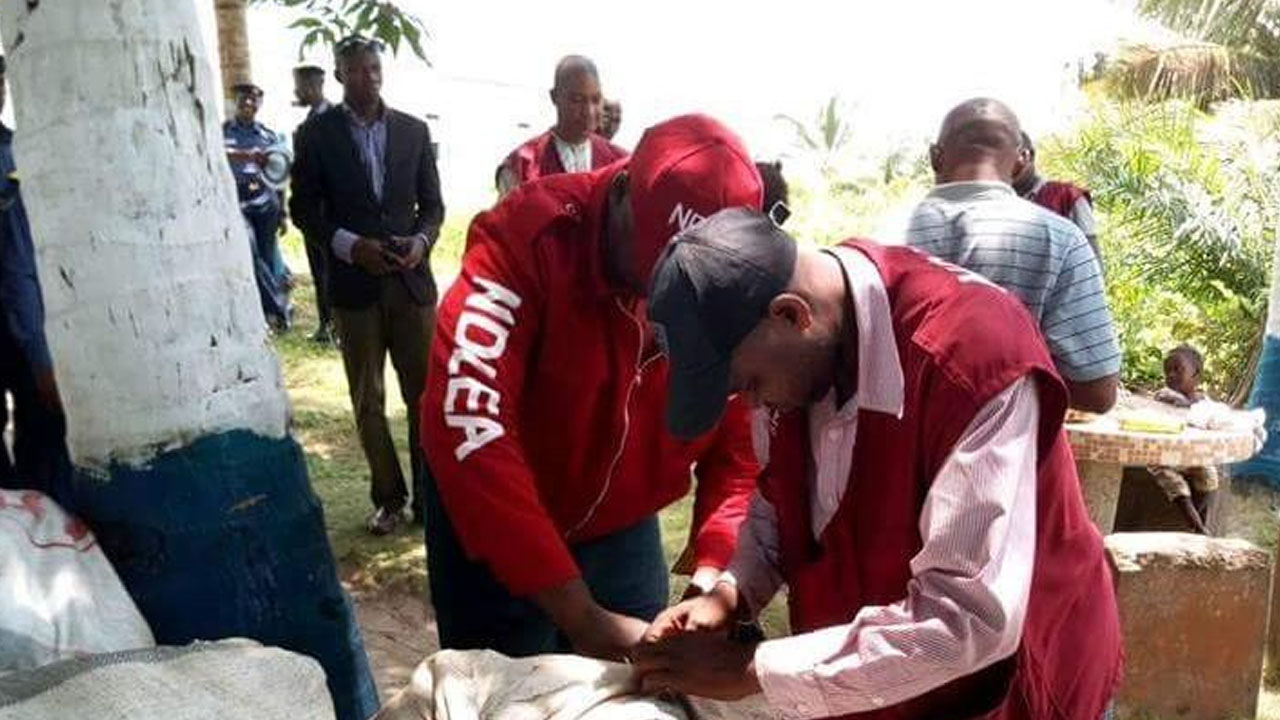 NDLEA arrests two Ghanaians, 11 others for drug trafficking NDLEA