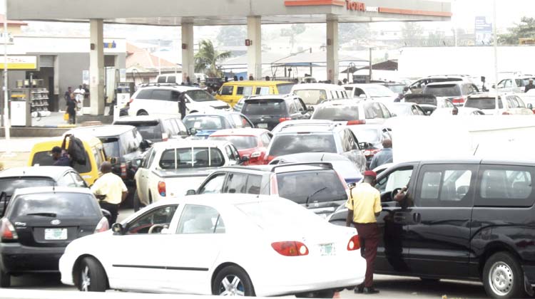 SDP backs Tinubu on fuel subsidy removal fuel subsidy
