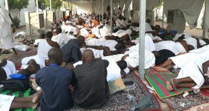 14 Nigerian pilgrims die in Saudi Arabia Nigerian pilgrims=