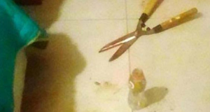 Bride CUTS off husband’s manhood in Katsina Bride