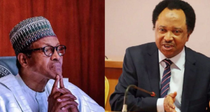 Buharists now orphans in APC – Shehu Sani Shehu Sani