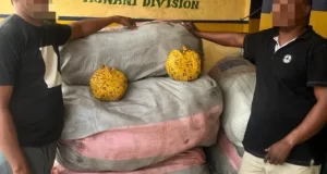 Lagos police seize N13m Indian hemp Indian hemp