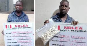 NDLEA arrests drug lord while giving mule 93 cocaine wraps to swallow in Lagos hotel NDLEA