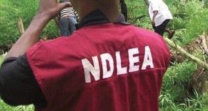 NDLEA operatives shoot two dead during Lagos raid NDLEA