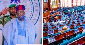 Reps approve Tinubu’s N500bn request for palliatives Reps