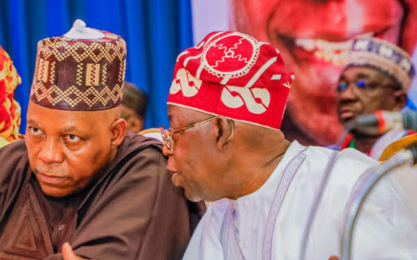 Shettima to represent Tinubu at Rome, Russia summits