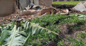 Villagers kick as mom hacks to death man who defiled her daughter TWICE woman hacks man to death
